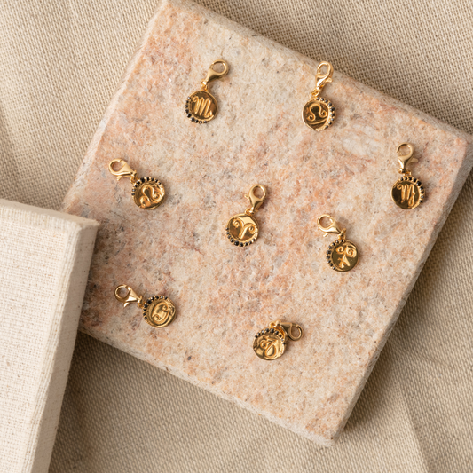 Zodiac Charms
